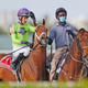 An outrider, wearing a protective mask, escorts a jockey and horse prior to the 68th running of the The Appleton at Gulfstream Park back in March.